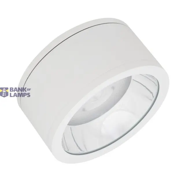 Downlight Surface IP65 DN 250 P 45W 840 60D White