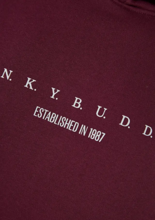 Funky Buddha ανδρική φούτερ μπλούζα με κουκούλα FBM014-009-06-2 2