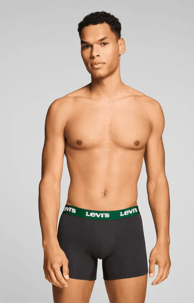 Levi's Repeat Logo Boxer Brief 2-Pack Green/Black Green/Black 2