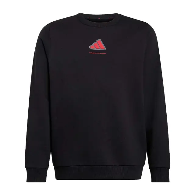 adidas Performance Boy's Slogan Fleece Sweatshirt Μαύρο KX6156 (adidas Performance)