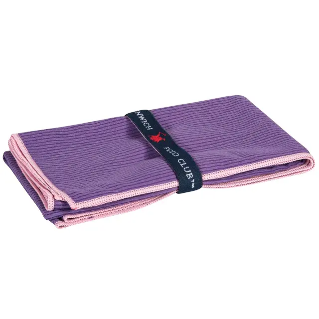 Πετσέτα Γυμναστηρίου 45x90 280gsm Essential Greenwich Polo Club 4022 Purple 100% Microfiber 3
