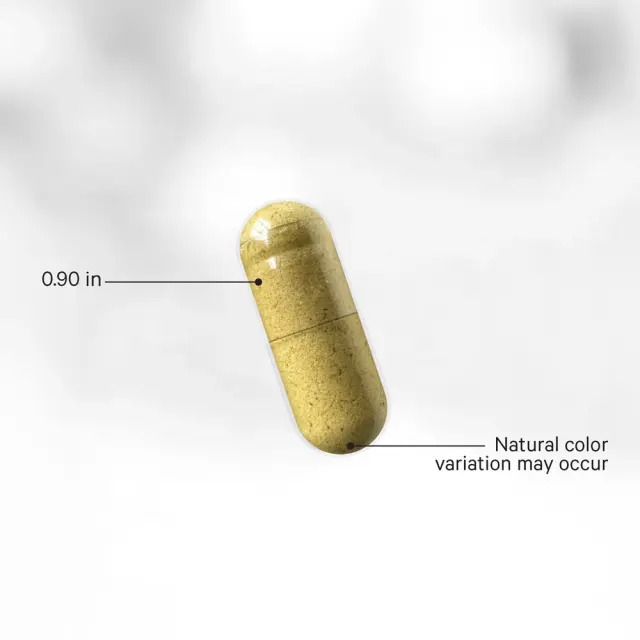Codeage Fermented Digestive Enzymes+ 3