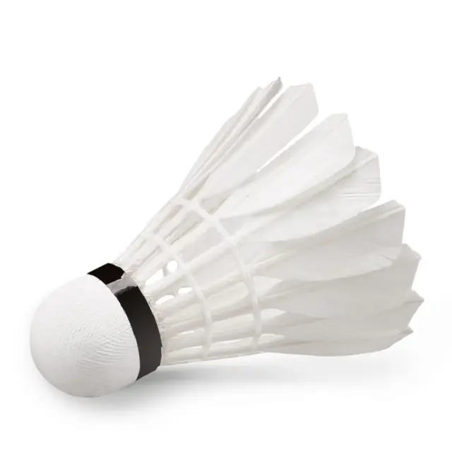 Μπαλάκια Badminton Feather Shuttlecock W-09 12 τμχ. (42078) 2