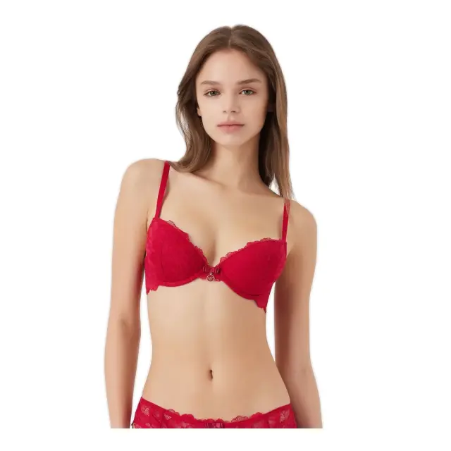 Emporio Armani Γυναικείο Σουτιέν Push-up Eternal Recycled Lace, Χρώμα Burgundy - 80B