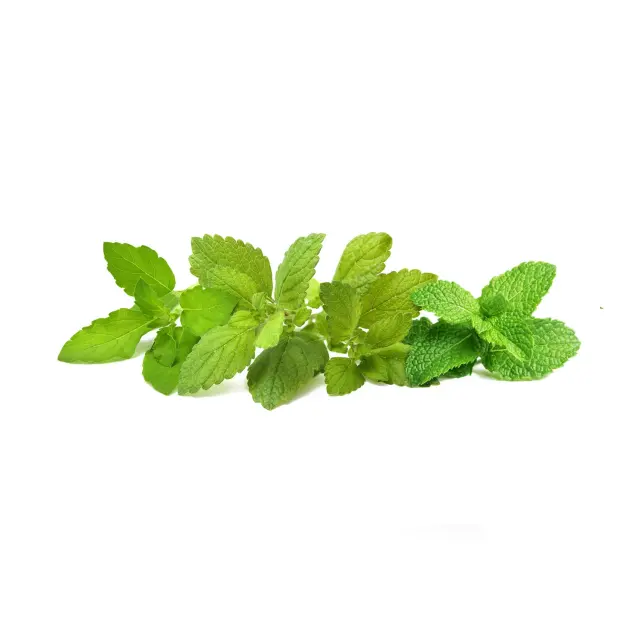 Click and Grow Συσκευασία Σπόρων με Χώμα, για Μείγμα Χαλαρωτικού Τσάι – 9τμχ 3