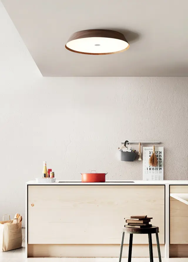 Woody 04580/PE/DW/W/42 Φωτιστικό LED οροφής Σκούρο ξύλο 2