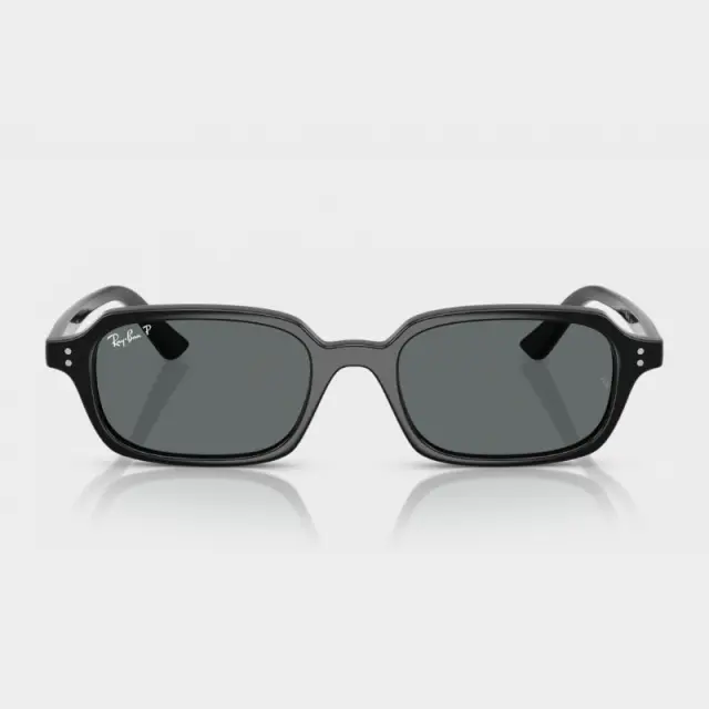 Γυαλιά Ηλίου Ray Ban RB4455 667781 Μαύρο - 52 2