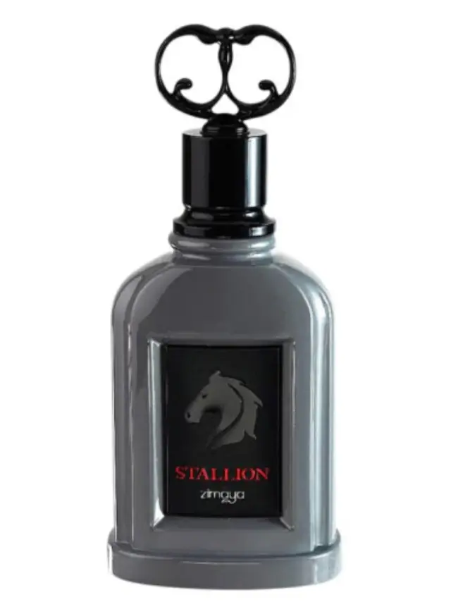 Zimaya Stallion EDP M 100 ml