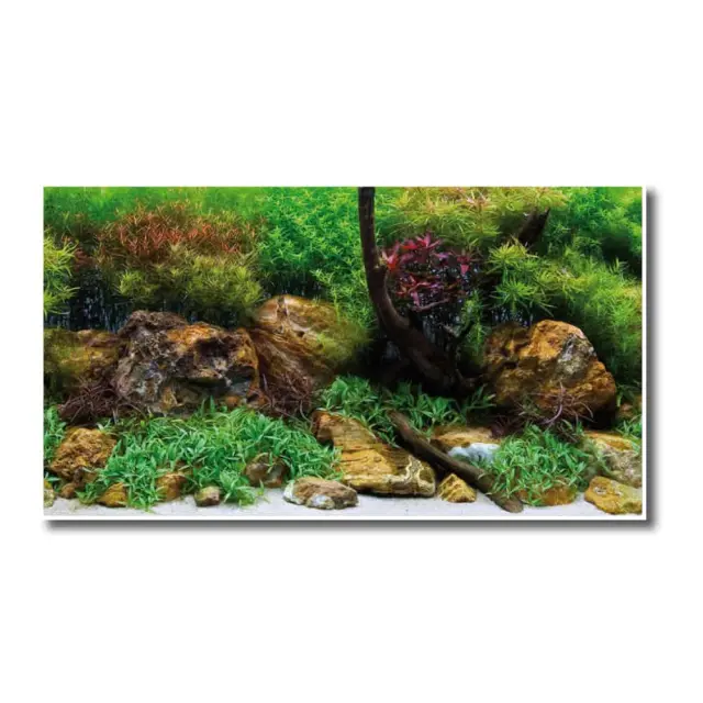 Amtra Adventure Διπλή Όψεως Αφίσα 15mt x 60cm 2