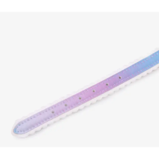 Κολάρο Κατοικίδιου Rainbow Από 22cm Έως 32cm Πάχος.2cm 3