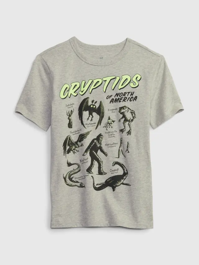 Γκρι Παιδική 100% Οργανικό Βαμβάκι Graphic Μπλούζα light heather grey - XS