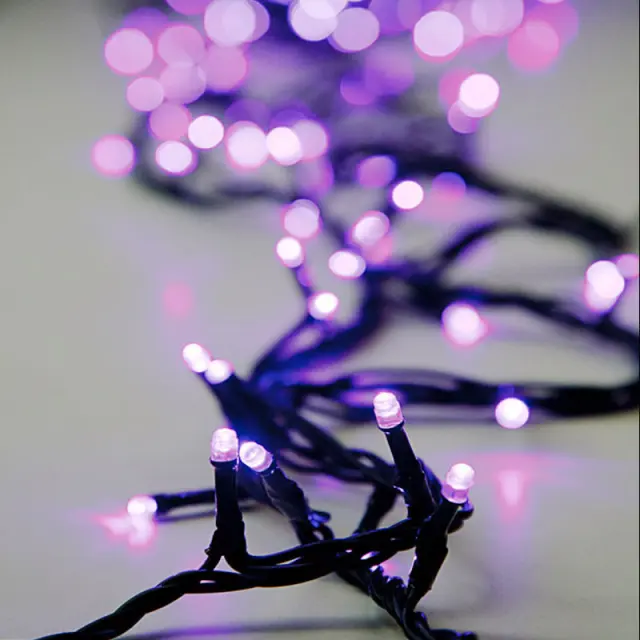 100 Led Σε Σειρά Με Πρόγραμμα Και Μετασχηματιστή Πράσινο Καλώδιο Μωβ Led IP44 2