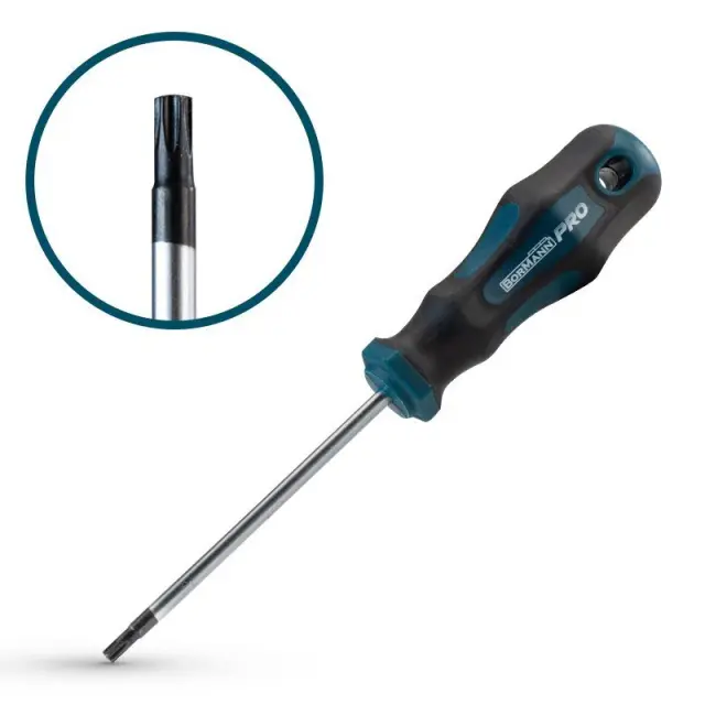 Bormann Pro BHT7032 - Κατσαβίδι Torx με τρύπα TT20x100mm S2 (045939)