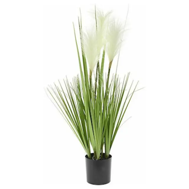 Φυτό σε γλάστρα Pampas και grass Υ78cm Iliadis 77364