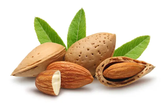 Rosveda Sweet Almond Oil - 100ml 2