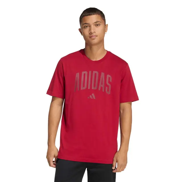 adidas Sportswear Men's Collegiate Tee Κόκκινο KH4593 (adidas Sportswear)