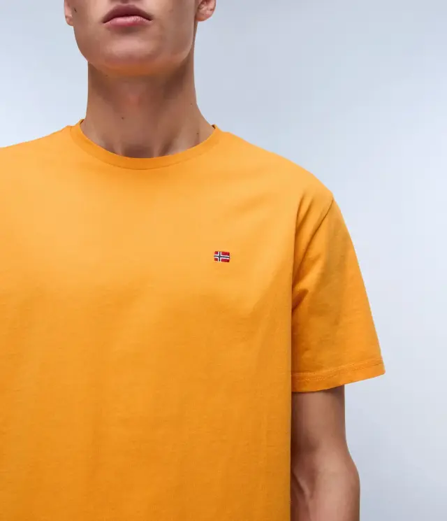Napapijri - Ανδρικό T-shirt Salis Ss Sum Regular Fit NP0A4H8D-A70 Πορτοκαλί - L 3