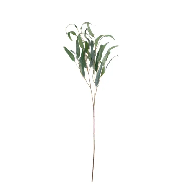 Ευκάλυπτος κλαδί τεχνητό, πράσινο, 98cm