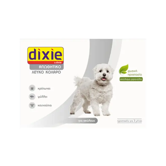 Dixie Γερανιόλη Κολάρο Λευκό 58cm