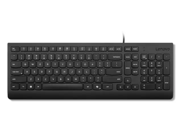 Lenovo Essential Wired Keyboard (Black) - Greek 319 (4Y41R64648)