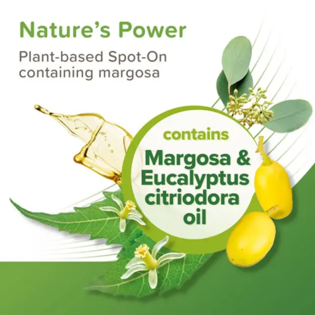 Beaphar Βιοκτόνα Αμπούλα Eco Spot On για Μεσαία & Μεγαλόσωμα Σκυλιά 15 30kg (6 τμχ) Μονόχρωμο 3