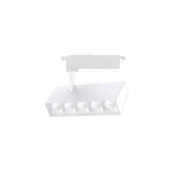 InLight Σποτ 20W μονοφασικής ράγας σε λεύκο χρώμα (T1-05800-White)