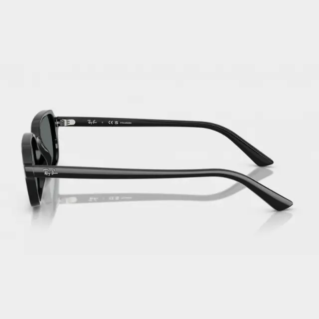 Γυαλιά Ηλίου Ray Ban RB4455 667781 Μαύρο - 52 3