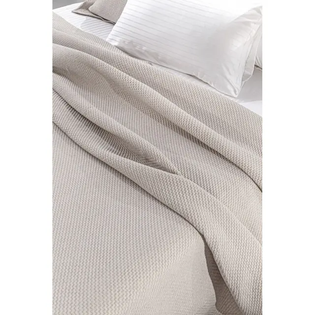 Κουβέρτα Ημίδιπλη Guy Laroche Slalom Linen 180x260 3