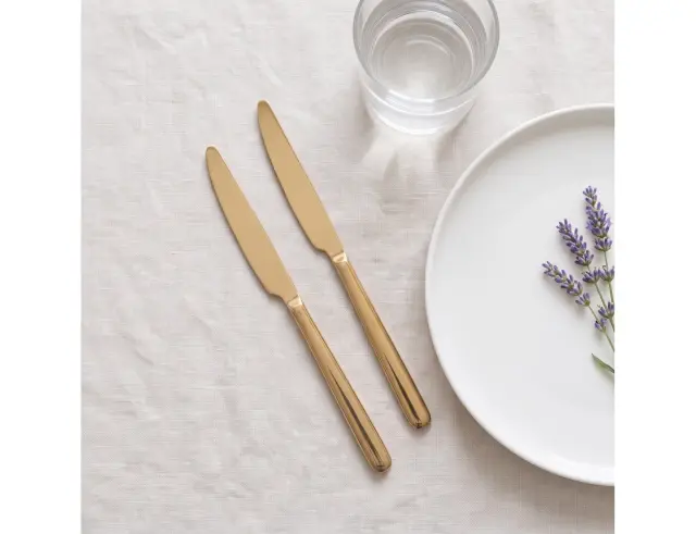 Σετ Μαχαίρια Eternum Nardo Belgium Champagne (1249-5CC) μήκους 22.8cm σε συσκευασία Cash & Carry - 12 τεμάχια 1249-5CC