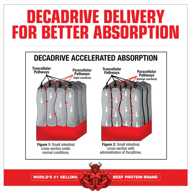 MuscleMeds Creatine Decanate 3