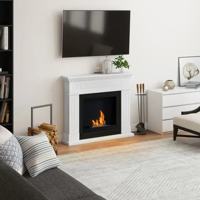 TAGU Larsen FreeFlame Bioethanol Τζάκι WH