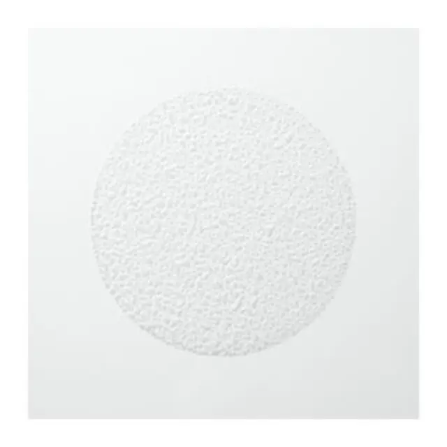 Color Lustre Spray για Προστασία Χρώματος 150ml 2