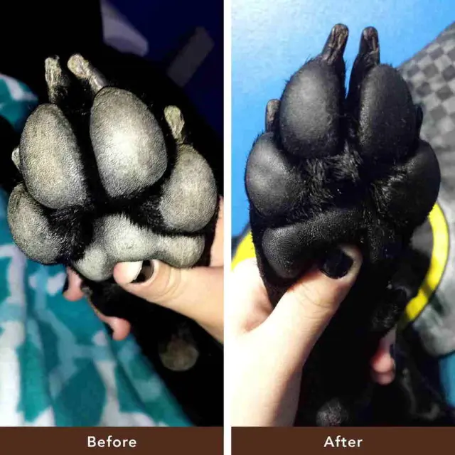 Natural Dog Company Pawtection Φυτική Αλοιφή για Πατουσάκια 60ml Μονόχρωμο 2