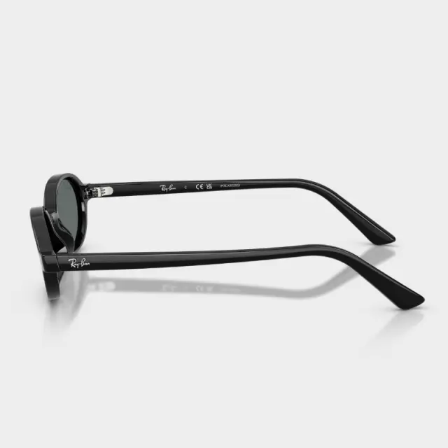 Γυαλιά Ηλίου Ray Ban RB4472 667781 Μαύρο - 48 3