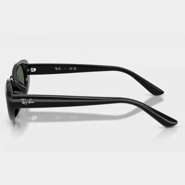 Γυαλιά Ηλίου Ray Ban RB4441D 667771 Μαύρο - 53 3