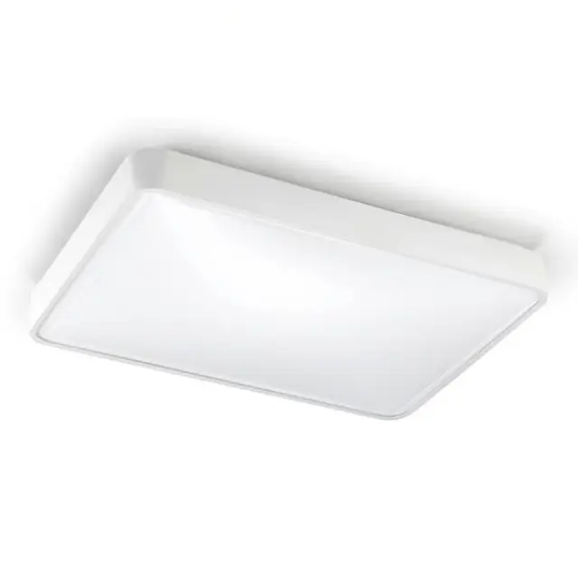 Luminaire CEILING FIXTURE RAS 2X2G11 55W MAT WT15-4687-14-M1 LEDS-C4