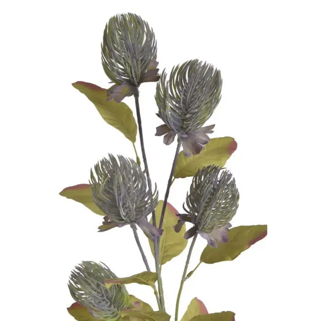 Κλαδί βαγξίας 83cm, purple-green 2