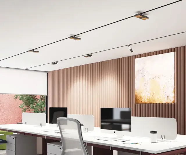 Eiva Led φωτιστικό για Led μαγνητική ράγα λεπτή 48V DALI 3000K 20W 45° Μαύρο+titanium bronze Μαύρο 2