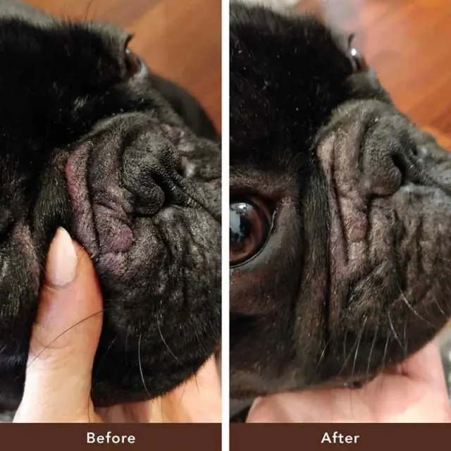Natural Dog Company Stick Wrinkle Balm Φυτική Αλοιφή για την Αναδίπλωση του Δέρματος 60ml Μονόχρωμο 3