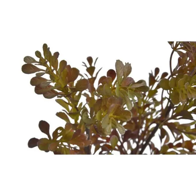 Κλαδί φυλλώδες πυξάρι 70cm, πράσινο-καφέ 2