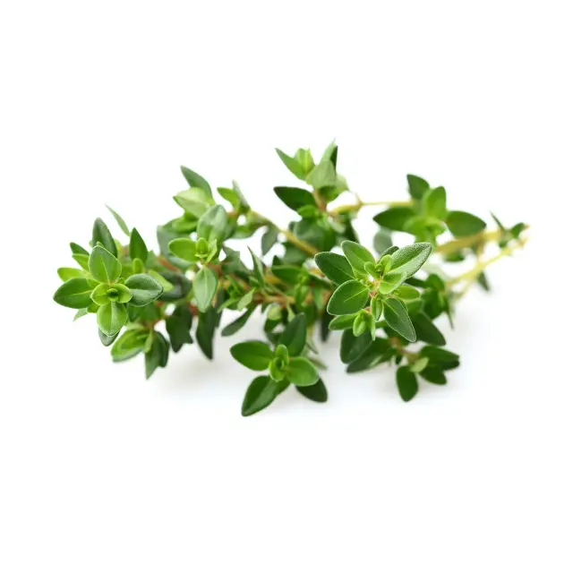 Click and Grow Συσκευασία Σπόρων με Χώμα, για Θυμάρι - 3τμχ 2