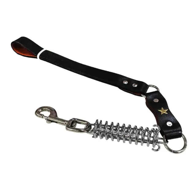 Λουρί Σκύλου Μαύρο – Dog Leash 034063 3