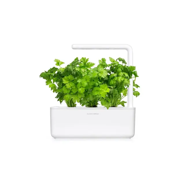 Click and Grow Συσκευασία Σπόρων με Χώμα, για Σέλινο – 3τμχ 2
