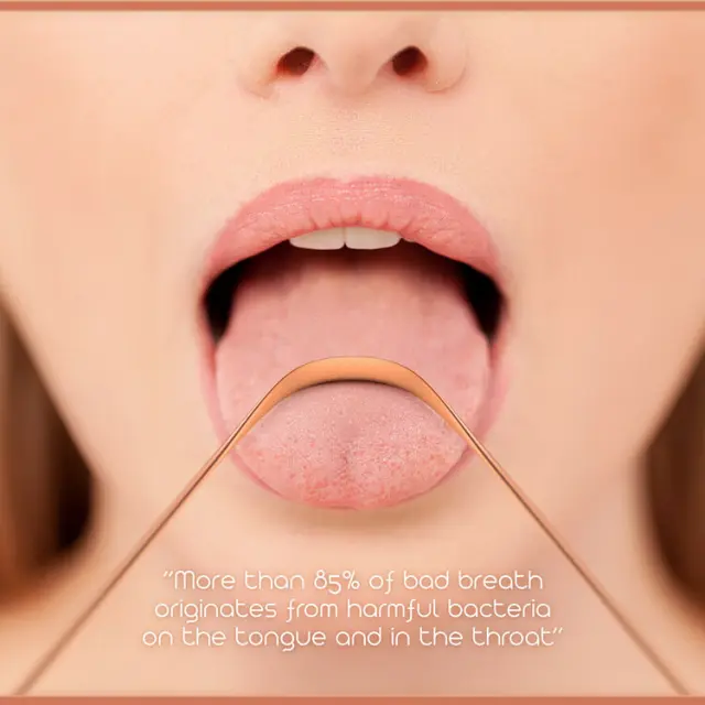 Χάλκινος Καθαριστής Γλώσσας Tongue Cleaner Scraper Superior quality Made in India, 1 τμχ 2
