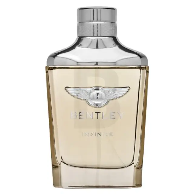 Bentley Infinite Eau de Toilette for men 100 ml