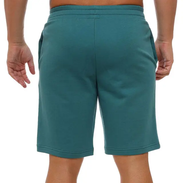 Puma Men's Essentials 2 Color No1 Logo 10inch Shorts Πράσινο Σκούρο 684715-41 (Puma) 2
