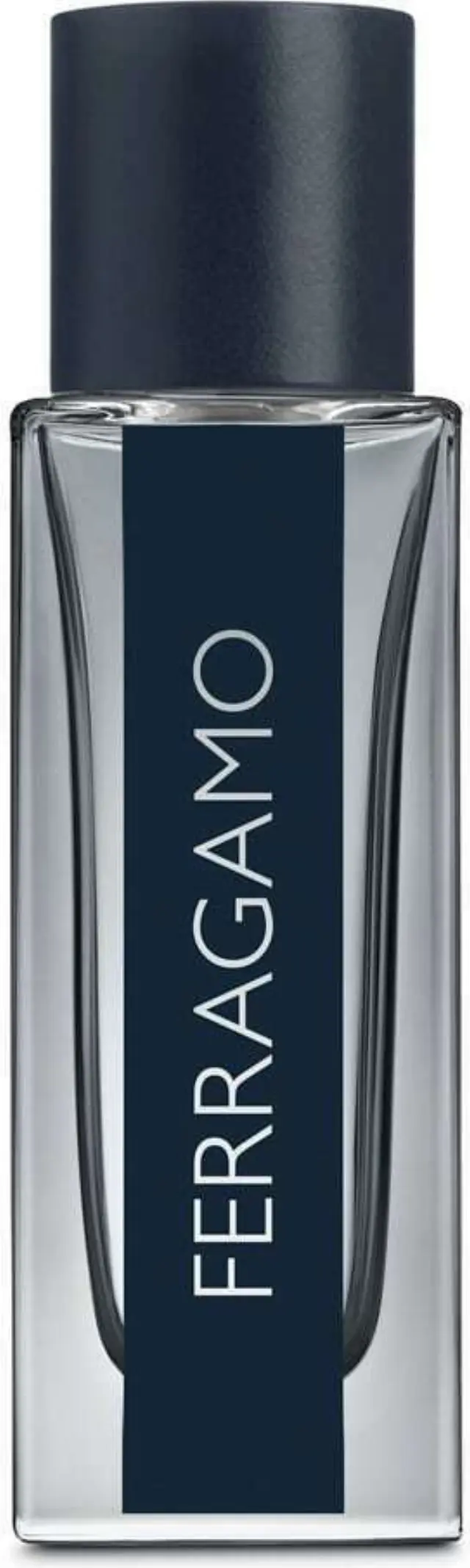 Salvatore Ferragamo Ferragamo Eau de Toilette for men 30 ml 2