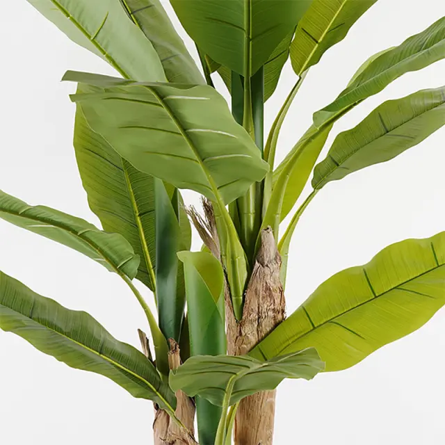 Διακοσμητικό φυτό σε γλάστρα Banana Tree Inart πράσινο Φ53x190εκ 2