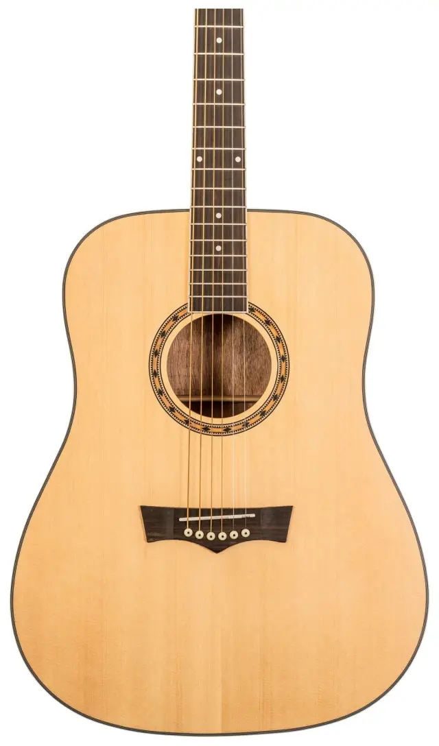PEAVEY DELTA WOODS DW-1 ΑΚΟΥΣΤΙΚΗ ΚΙΘΑΡΑ ΜΕ ΘΗΚΗ 3