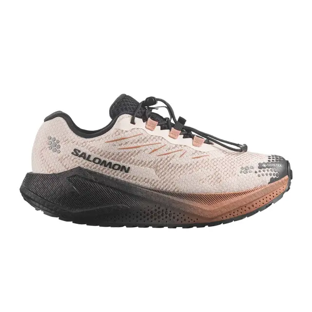 Salomon Women's Aero Blaze 4 Gravel Gore-Tex Κρεμ 454039 (Salomon)
